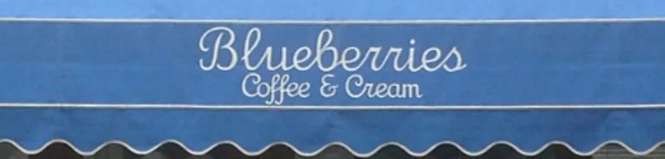 Blueberries