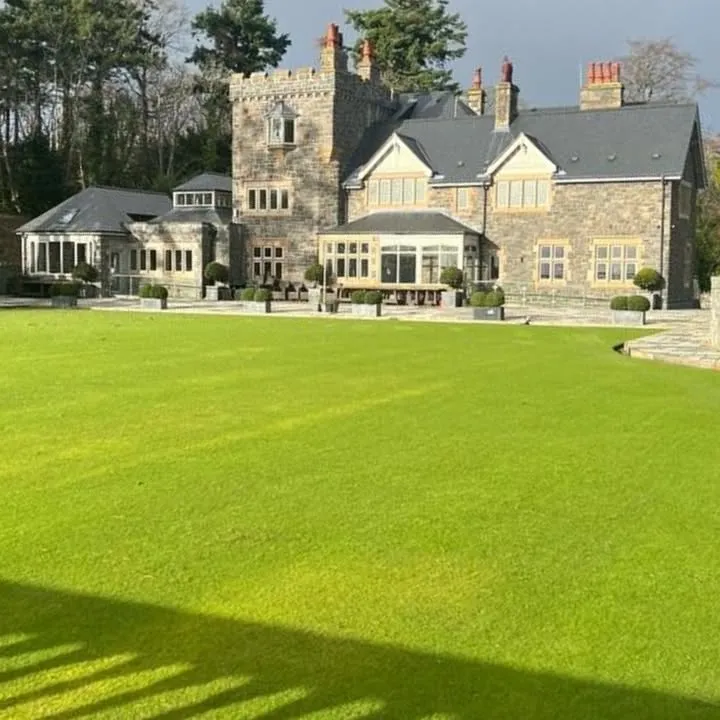 The Manor