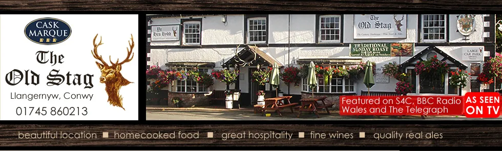 The Stag Hotel